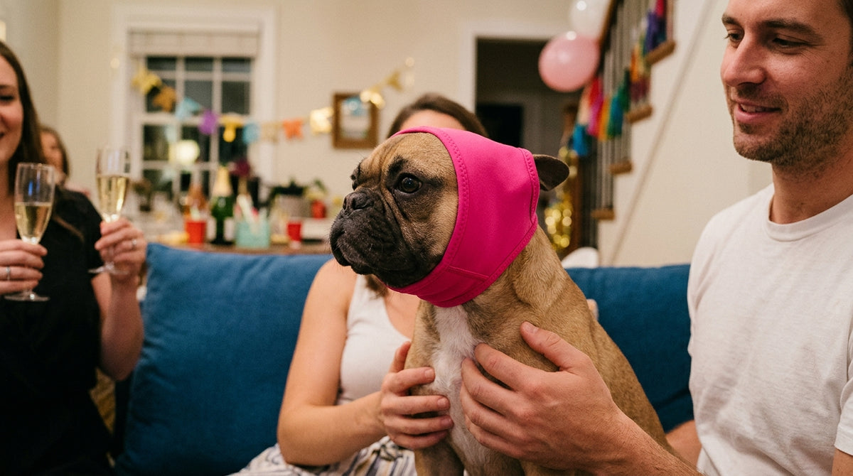 Orejeras antirruido para perros